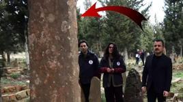 Boyları 4 metreyi buluyor: Türk milletinin tapu senedi