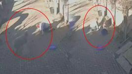 Silivri'de dehşete düşüren koç saldırısı! Sahibini hastanelik etti