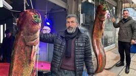 Çayırhan Gölü'nde balıkçı ağlarına 2 metrelik yayın balığı takıldı