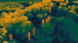 15 ilde göçmen kaçakçılığı operasyonu: 50 tutuklama