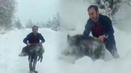 Yavru domuzu elleriyle yakalamıştı! 15 bin liralık şok ceza