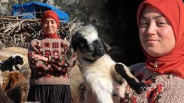 Hollandalılar hayatını izliyor! Hayvanları otlatırken üniversiteyi kazandı: Genimizde var