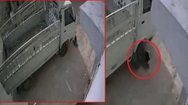 Kediyi ezdi, savunması pes dedirtti! Ceza tartışma yarattı