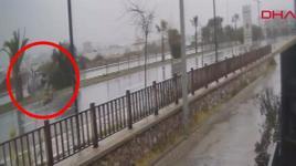 Kontrolden çıkan otomobil refüjdeki ağaca çarparak ters döndü