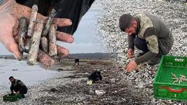 Mersin’de fırtına sonrası binlerce kargı midyesi sahile vurdu