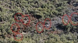 İstanbul'un yanı başı! Görüntüleri izleyen bölgeye akın etti: ‘Uzaktan izliyoruz’