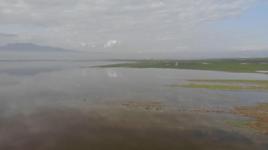 Kahramanmaraş'ta etkili olan yağışların ardından binlerce dönüm tarım arazisi su altında kaldı