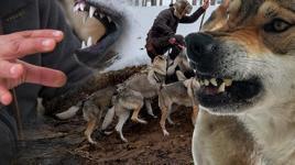 Kurgu değil gerçek! Sivas dağlarında bir Kurt Adam: Eksi 30'da ne elektrik ne su var