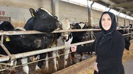 Ev hanımlığından patronluğa: Devlet destek verdi, 900 hayvanın bulunduğu çiftliğin sahibi oldu