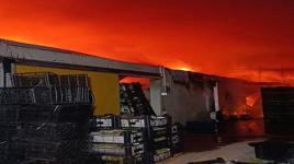 Antalya'da muz paketleme ve sarartma tesisinde yangın