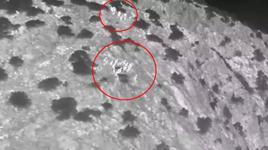 Gece yarısı termal kameraya takıldılar! Gören şoke oldu: Sürü halinde...