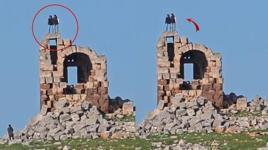 Nemrut’un Tahtı olarak bilinen kalıntılarda zıplayarak halay çektiler! Tepki çeken görüntüler