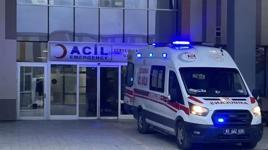 Van'da sahipsiz köpeklerin saldırdığı 5 yaşındaki çocuk hayatını kaybetti