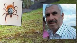 Sivas’ta kene alarmı! İstanbul’dan memleketine gitti: Madımak topladıktan sonra rahatsızlanıp öldü