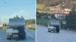 Kurbanlık hayvanı kamyonetin kasasından sarkıttı! Bolu Valiliği düğmeye bastı