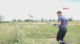 Bahçeye giren 2 metrelik yılan, itfaiye tarafından yakalandı