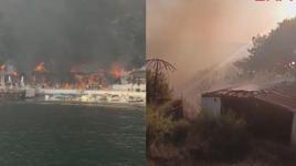 İstanbul Büyükada'da yangın paniği! Viranbağ Plajı alevlere teslim oldu