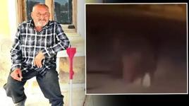 Evinin balkonunda uyurken ayının saldırısına uğrayan kişi öldü