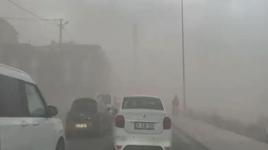 Meteoroloji uyarmıştı! İstanbul'da fırtına etkili oldu, ağaçlar devrildi