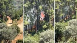 Muğla Fethiye'de orman yangını çıktı