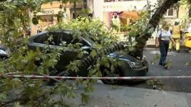 Nişantaşı’nda çınar ağacı taksinin üzerine devrildi