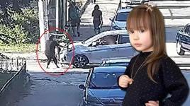 Minik Mavi'nin hayatını kaybettiği kazanın görüntüleri ortaya çıktı