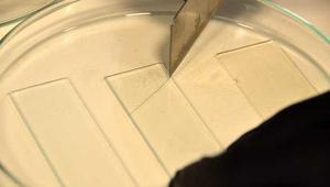 Türk bilim insanları kendini yenileyen malzeme geliştirdi