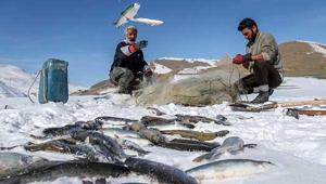 Kazma, kürek ve demir çubuklarla... Buradan çıkarıyorlar