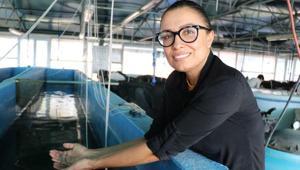 Karidese yatıran kazanıyor