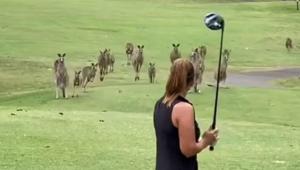 Bir anda ortaya çıktılar Golf oynayan kadına şok