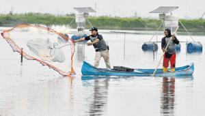 Karides haydutları 7.3 milyar dolarlık ekonomiyi tehdit ediyor