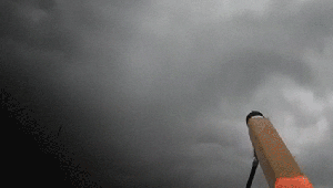 Kendisi hafif etkisi ağır ALPAGU ilk kez ihraç edildi