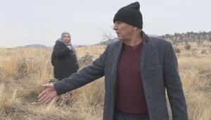 Ankarada sokak köpekleri küçük çocuğa saldırdı Durumu ağır