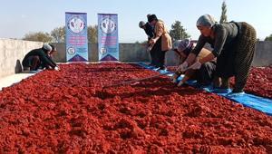 Depremin acısını çalışarak unutuyoruz Depremin acısını çalışarak unutuyoruz