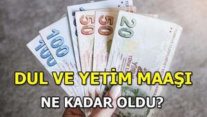 DUL VE YETİM MAAŞLARI NE KADAR OLDU 2024 dul ve yetim maaşları yüzde kaç zamlandı, kaç lira oldu İşte dul ve yetim maaşı zam tablosu