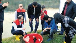 Sabaha kadar başında beklediler Dünyada da yankı buldu