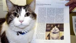 Seçtiği kişi ölü bulunuyor Kan donduran öngörülerin başrolünde Oscar var