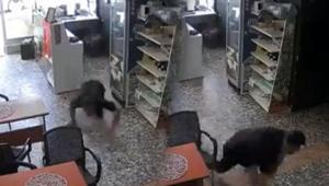 Yer: Osmaniye Deprem oluyor sanıp kaçmaya çalıştı; gerçeği öğrenince şaşkına döndü