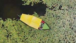 Müthiş manzara Beyşehir Gölü resmen çiçek bahçesine döndü