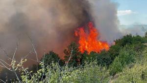 İznikte orman yangını Rahatlatan açıklama geldi