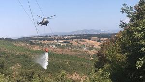 Bursada orman yangını