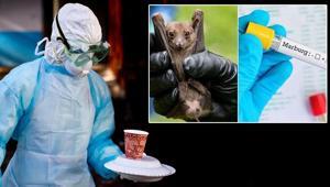 Sessiz tehdit, yayılma riski yüksek