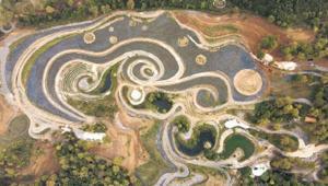 Van Gogh’un yıldızlı geceleri arazide