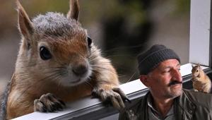 Tarlada çalışırken karşılaştığı sincap hayatlarını değiştirdi