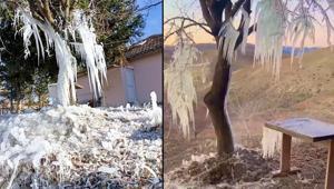 Su borusu patladı ağaçta buz sarkıtları oluştu