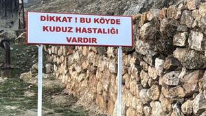 Bir köyde kuduz alarmı Karantinaya alındı, 7 yaşındaki çocuk tedavi altında