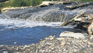 Marmara’daki müsilajın nedeni bulundu