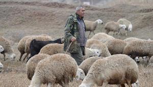 İstanbuldan kaçtı, köyünde yaptığı hayvancılıkla huzuru buldu