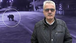 Köylerdeki camilerden anonslar yapılıyor İlçede firari ayı alarmı