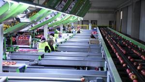 Devlet destek verdi: Kurduğu tesisle 21 ülkeye elma ihraç ediyor